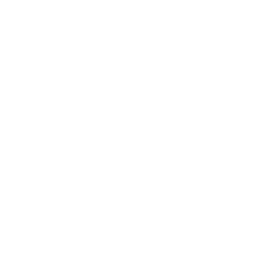 Newport_logo