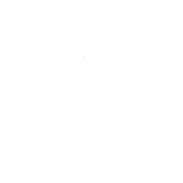 Rhoda_Goldman_Logo_2