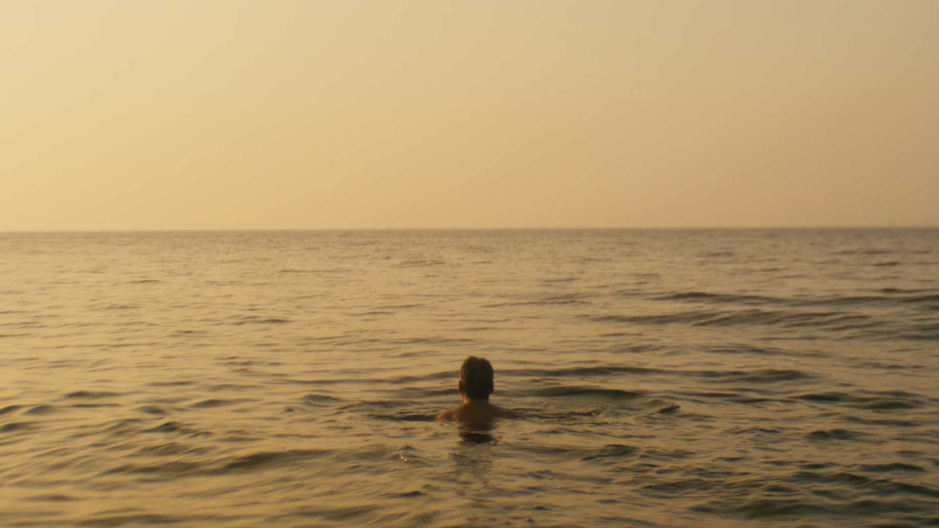 tree_haus_film_final_color_still_01