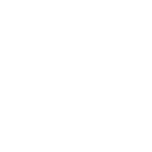 tree_haus_web_cover_03