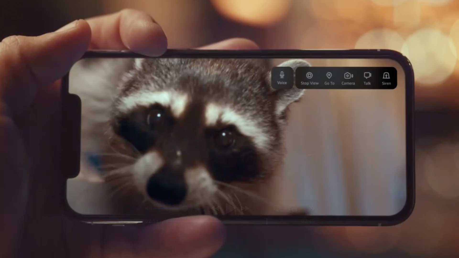 Amazon_Studio_Cover_Thumbs_4