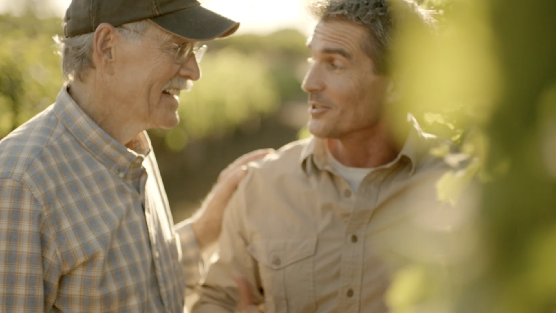 Grapes_Example_Thumbs_1