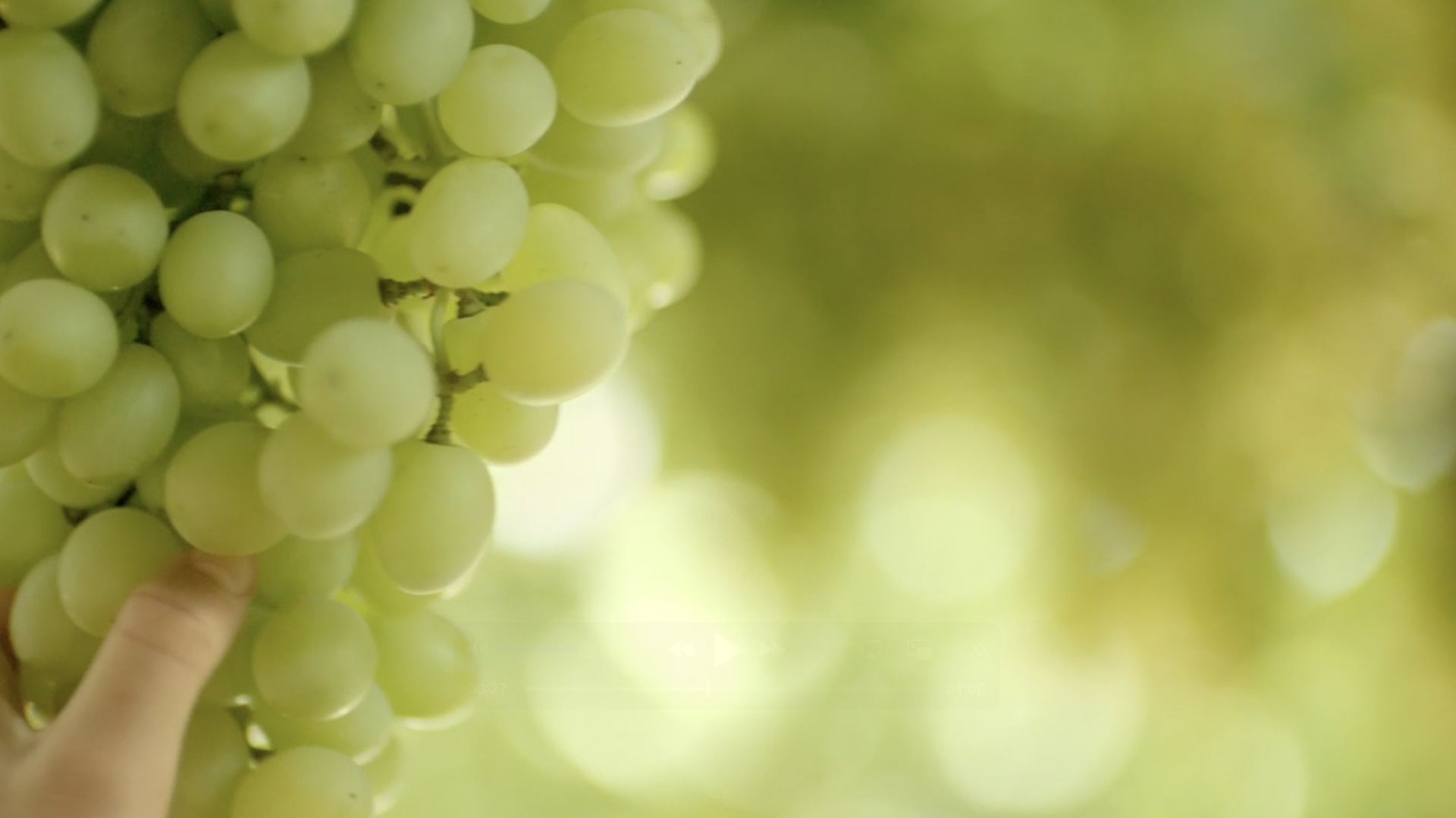 Grapes_Example_Thumbs_2